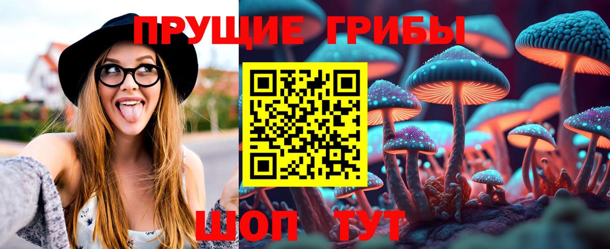 Сафоново  Псилоцибиновые грибы GOLDEN TEACHER  Вход с VPN 